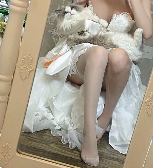 欧美AV无码高潮含羞草-免费独播午夜激情